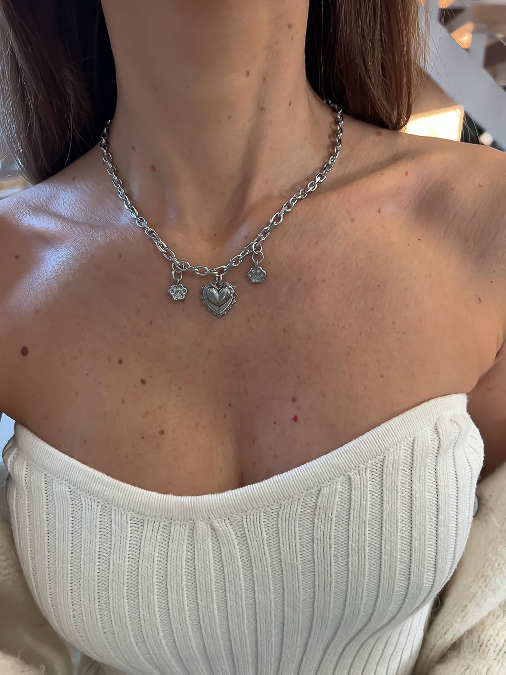 Collier Pets Lover argenté